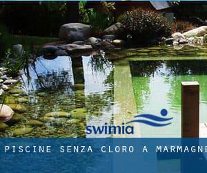 Piscine Senza cloro a Marmagne