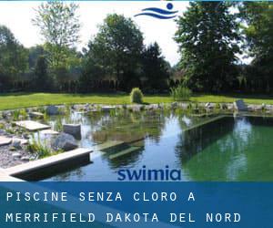 Piscine Senza cloro a Merrifield (Dakota del Nord)