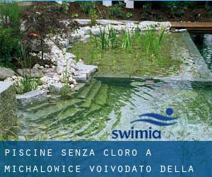 Piscine Senza cloro a Michałowice (Voivodato della Piccola Polonia)