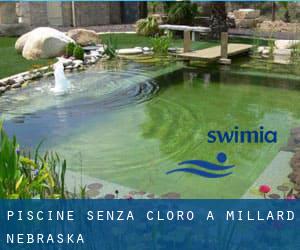 Piscine Senza cloro a Millard (Nebraska)