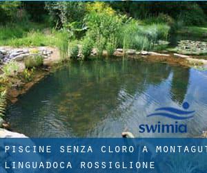 Piscine Senza cloro a Montagut (Linguadoca-Rossiglione)