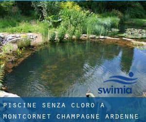 Piscine Senza cloro a Montcornet (Champagne-Ardenne)