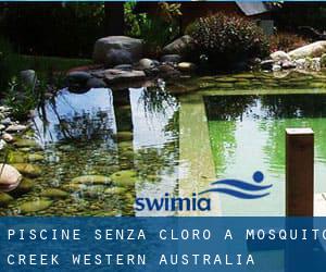 Piscine Senza cloro a Mosquito Creek (Western Australia)