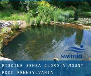 Piscine Senza cloro a Mount Rock (Pennsylvania)