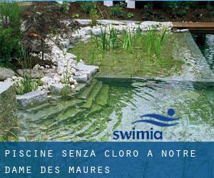 Piscine Senza cloro a Notre-Dame des Maures