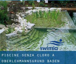 Piscine Senza cloro a Oberlehmannsgrund (Baden-Württemberg)