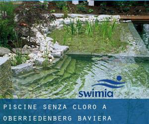 Piscine Senza cloro a Oberriedenberg (Baviera)