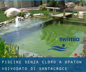 Piscine Senza cloro a Opatów (Voivodato di Santacroce)