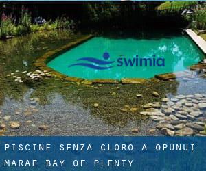 Piscine Senza cloro a Opunui Marae (Bay of Plenty)