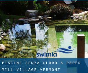 Piscine Senza cloro a Paper Mill Village (Vermont)