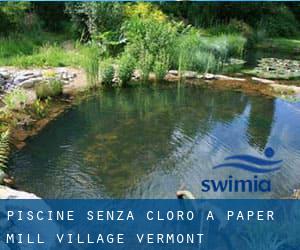 Piscine Senza cloro a Paper Mill Village (Vermont)