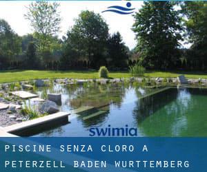 Piscine Senza cloro a Peterzell (Baden-Württemberg)