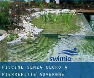 Piscine Senza cloro a Pierrefitte (Auvergne)