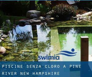 Piscine Senza cloro a Pine River (New Hampshire)