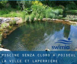 Piscine Senza cloro a Poiseul-la-Ville-et-Laperrière