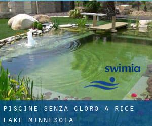 Piscine Senza cloro a Rice Lake (Minnesota)