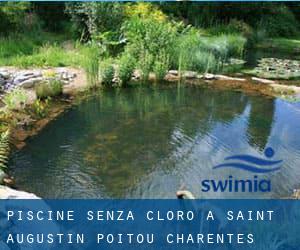 Piscine Senza cloro a Saint-Augustin (Poitou-Charentes)