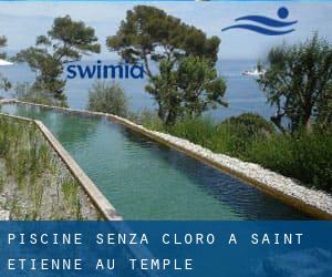 Piscine Senza cloro a Saint-Étienne-au-Temple