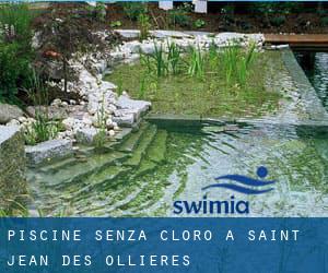 Piscine Senza cloro a Saint-Jean-des-Ollières