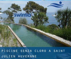 Piscine Senza cloro a Saint-Julien (Auvergne)