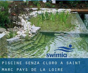 Piscine Senza cloro a Saint-Marc (Pays de la Loire)