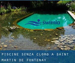 Piscine Senza cloro a Saint-Martin-de-Fontenay