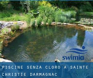 Piscine Senza cloro a Sainte-Christie-d'Armagnac