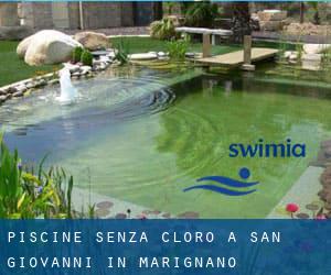 Piscine Senza cloro a San Giovanni in Marignano