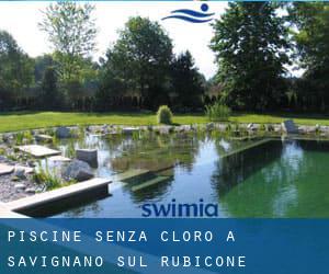 Piscine Senza cloro a Savignano sul Rubicone