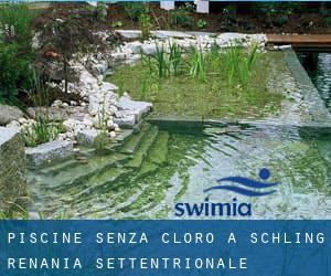 Piscine Senza cloro a Schling (Renania Settentrionale-Vestfalia)