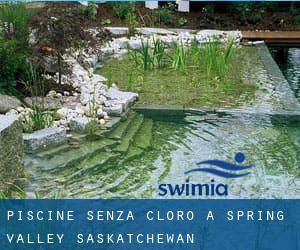 Piscine Senza cloro a Spring Valley (Saskatchewan)