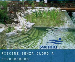 Piscine Senza cloro a Stroudsburg