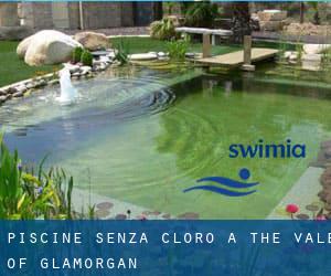 Piscine Senza cloro a The Vale of Glamorgan