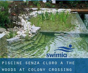 Piscine Senza cloro a The Woods at Colony Crossing