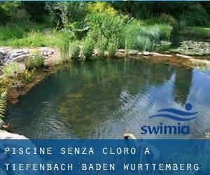 Piscine Senza cloro a Tiefenbach (Baden-Württemberg)