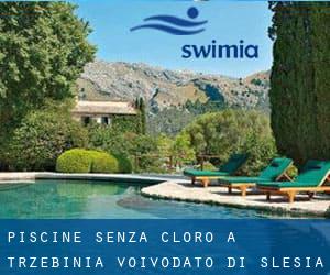 Piscine Senza cloro a Trzebinia (Voivodato di Slesia)