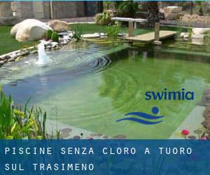 Piscine Senza cloro a Tuoro sul Trasimeno