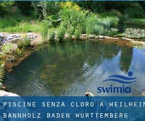 Piscine Senza cloro a Weilheim-Bannholz (Baden-Württemberg)