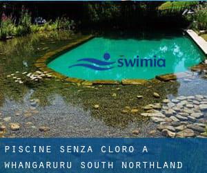 Piscine Senza cloro a Whangaruru South (Northland)