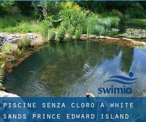 Piscine Senza cloro a White Sands (Prince Edward Island)