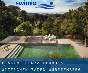 Piscine Senza cloro a Wittichen (Baden-Württemberg)