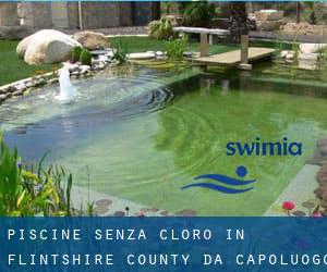 Piscine Senza cloro in Flintshire County da Capoluogo - pagina 1