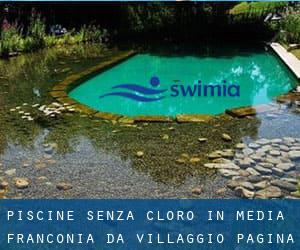 Piscine Senza cloro in Media Franconia da Villaggio - pagina 1