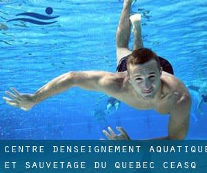 Centre d'Enseignement Aquatique et Sauvetage du Quebec (C.E.A.S.Q)