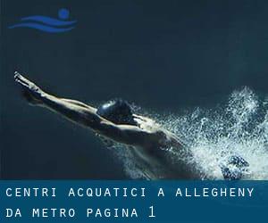 Centri acquatici a Allegheny da Metro - pagina 1