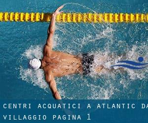 Centri acquatici a Atlantic da Villaggio - pagina 1