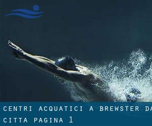 Centri acquatici a Brewster da Città - pagina 1