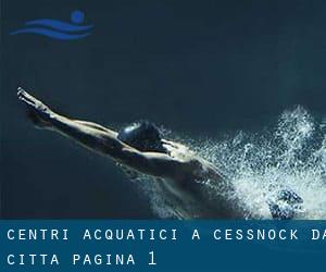 Centri acquatici a Cessnock da Città - pagina 1