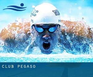 Club Pegaso