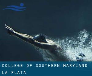 College of Southern Maryland - La Plata